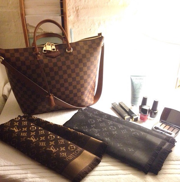 Louis vuitton damier canvas and lv scarves  Womens Louis Vuitton - Luxury  Handbags addict